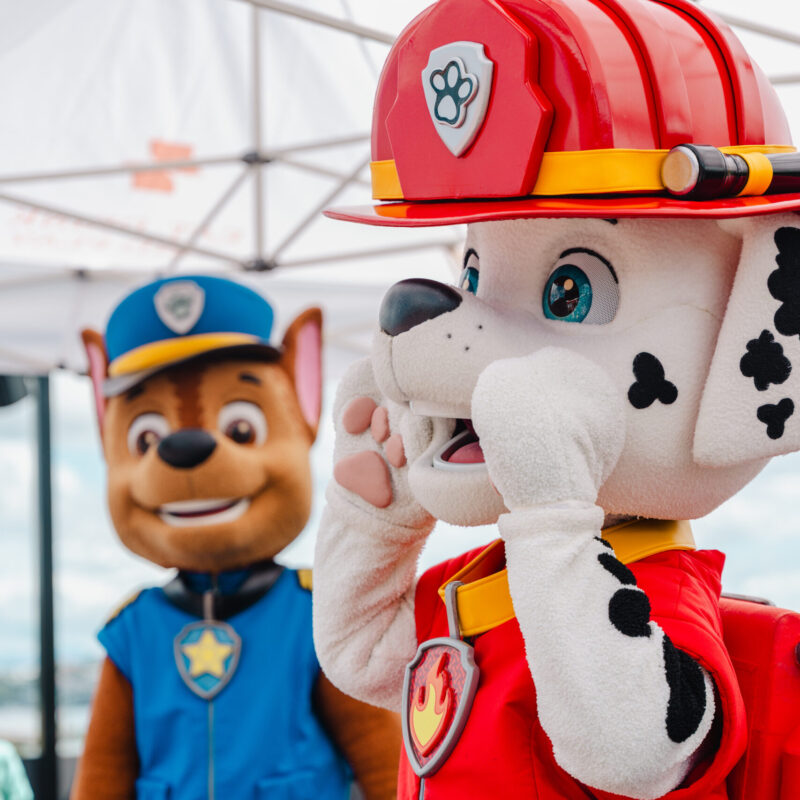 Hills 2025.03.22 Paw & Pals-3